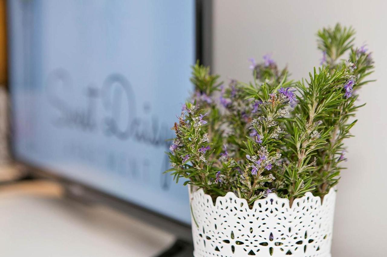 Apartment Sweet Daisy With Parking Zadar Luaran gambar